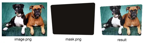 image to be masked