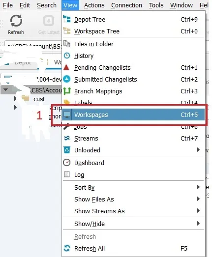 view workspace in p4v