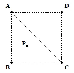 一个正方形网格内部的点P。