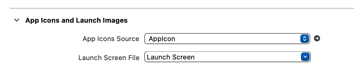 select your launch screen