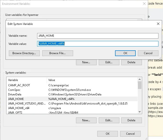 Set enviroment variable manually via UI