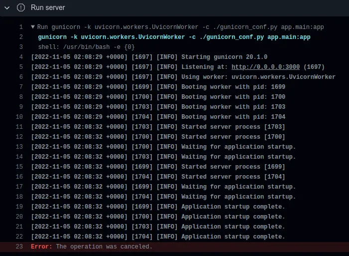 Gunicorn runnig in workflow