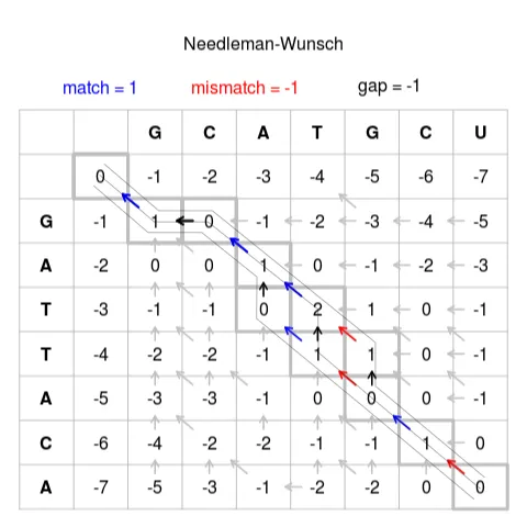 Needleman-Wunsch matrix; Source: Wikipedia