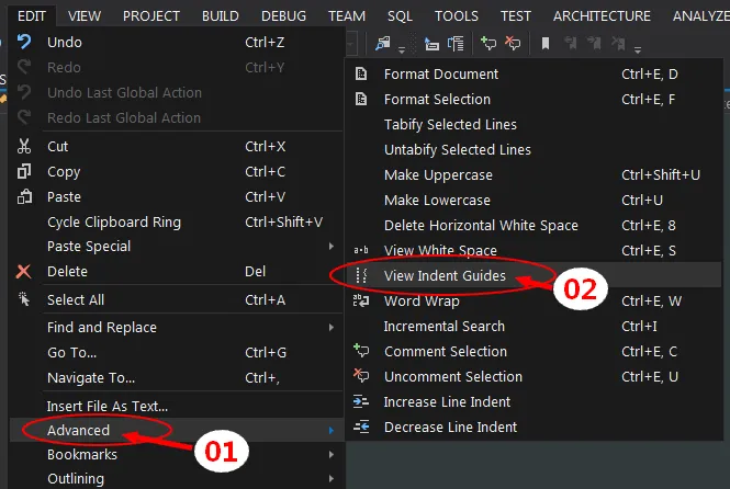 Edit --> Advanced --> View Indent Guides