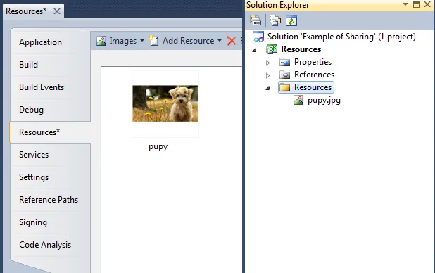 例如，Resources项目的资源选项卡显示一张小狗的图片，而解决方案浏览器显示Resources项目的资源文件夹包括小狗的图片