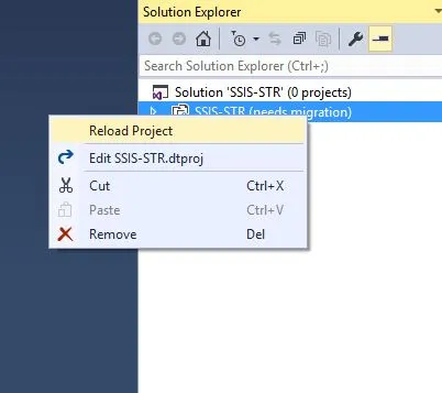 Reload Project menu item in the Solution Explorer