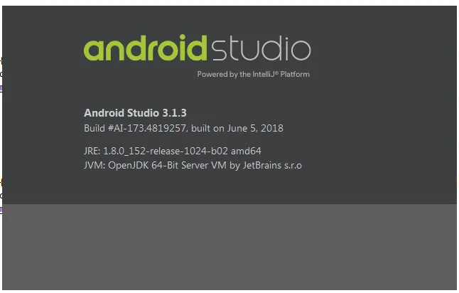 Android Studio启动