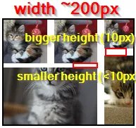 width ~200px