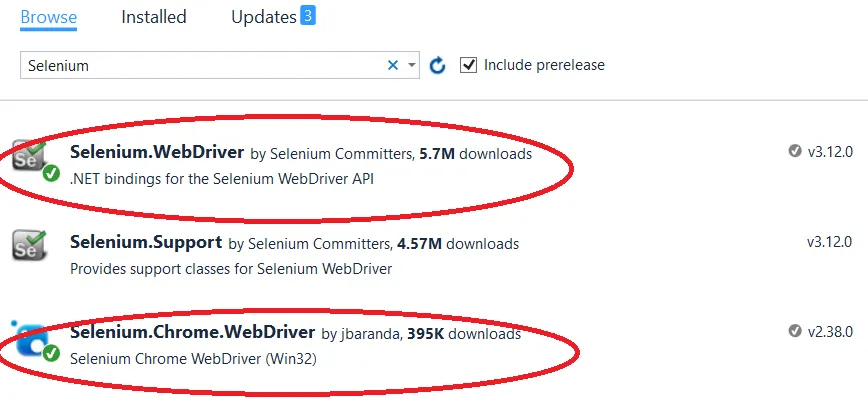 Selenium Chrome WebDriver