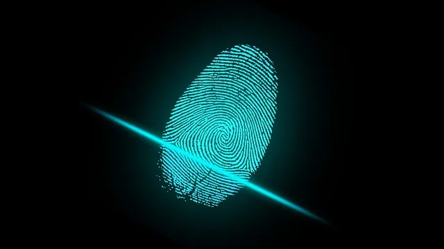 Digital Fingerprint - Picture attribute to Pixabay - Freely available for use at: https://pixabay.com/en/finger-fingerprint-security-digital-2081169/