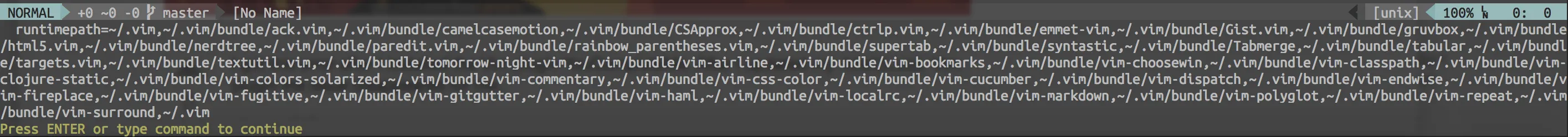 vim runtimepath