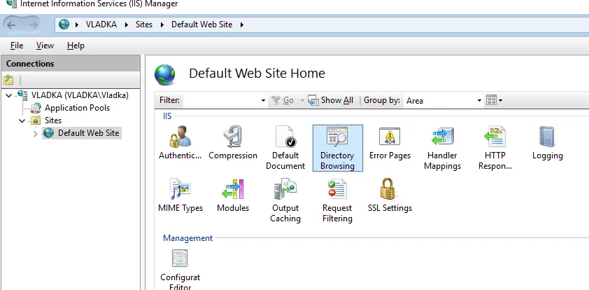 IIS Manager Directory Browsing