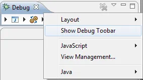 Show Debug Toolbar