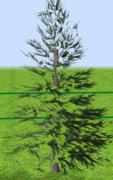 tree model texture bug