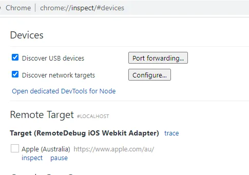 Chrome debuig device inspection