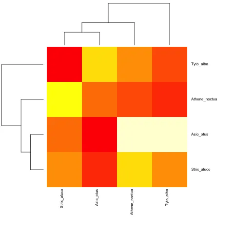 Heatmap with non-ultrametric phylogenies as index