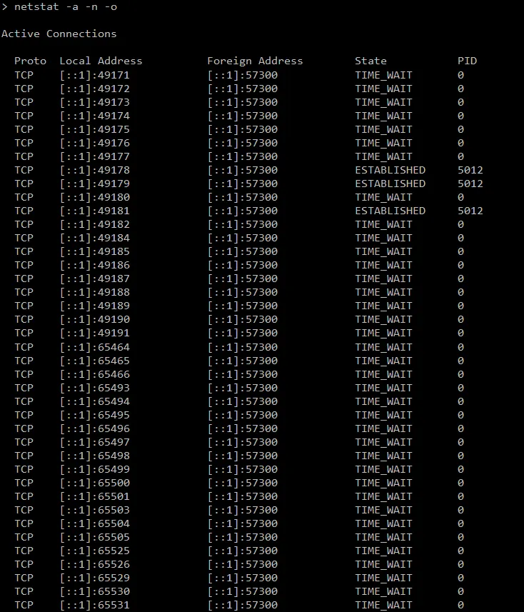 netstat output