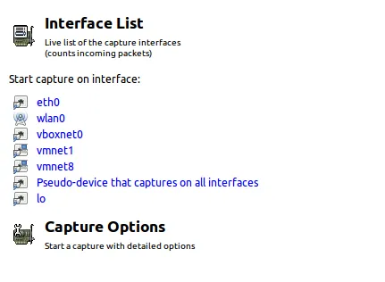 WireShark Interface List