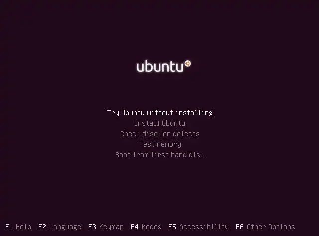 Ubuntu Live CD/USB Advanced Boot Options menu