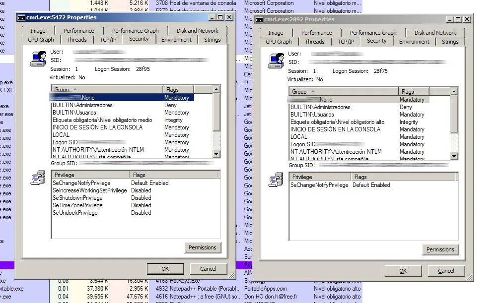 Process Explorer screenshot showing execution permissions differences