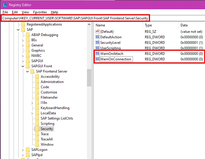 SAP GUI Options Windows Registry