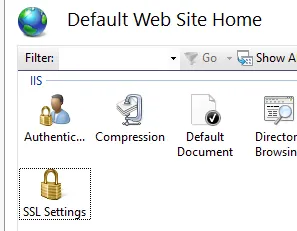 IIS - SSL Settings