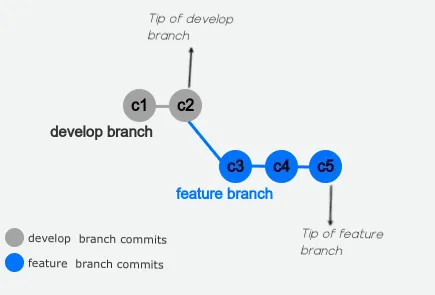 evolved history of feature branch