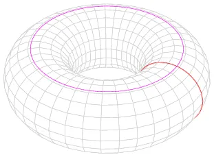 Circles on a torus