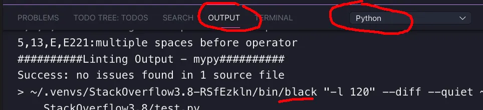 VS Code screenshot of Output