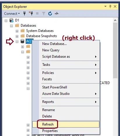 Refreshing the database (before Cache refresh step)