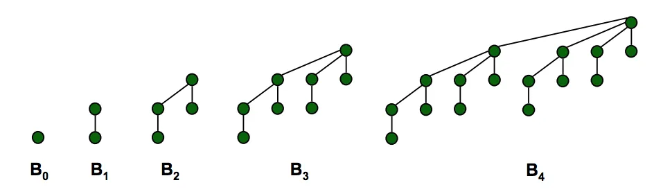 k bonomial trees