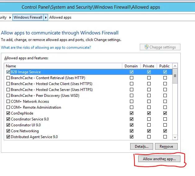 Windows Firewall Allowed App dialog