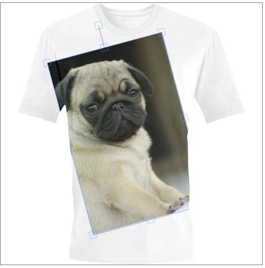 picture of a pug on a t-shirt, with borders to resize the pug image. Bottom right control is obscured.