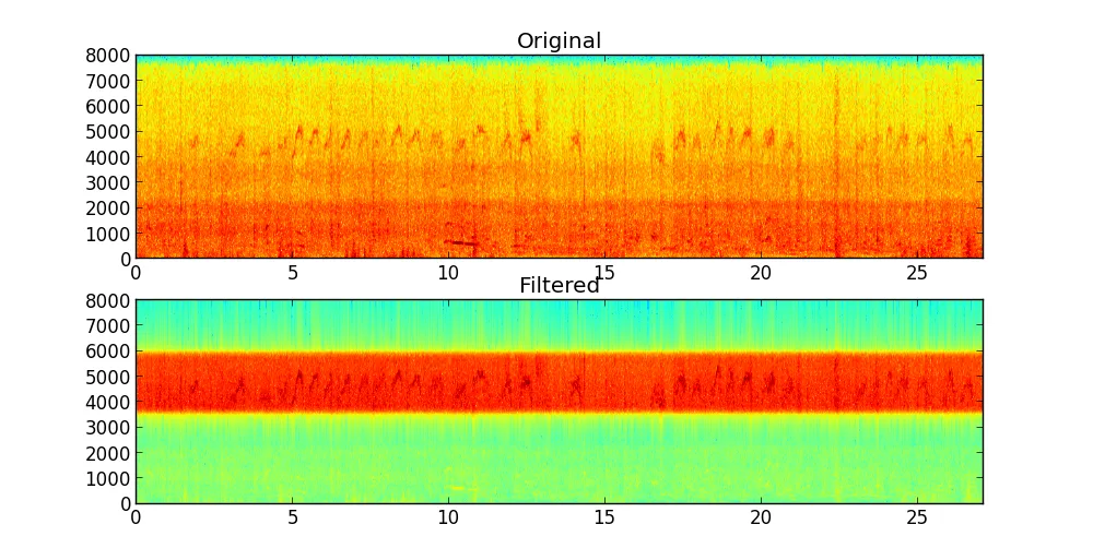 Bird Song Spectrgrams