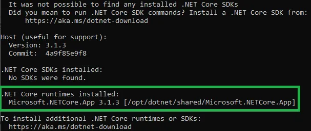 Output from dotnet --info