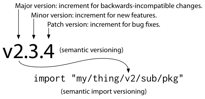 vgo semver