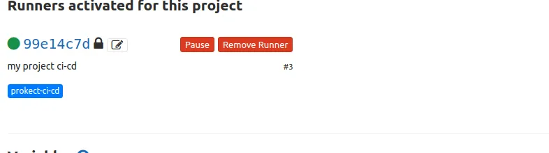 My project runner
