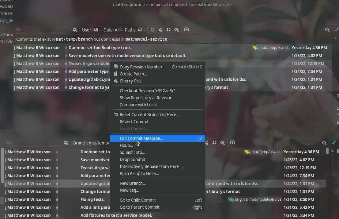 Screenshot of IntelliJ menu item
