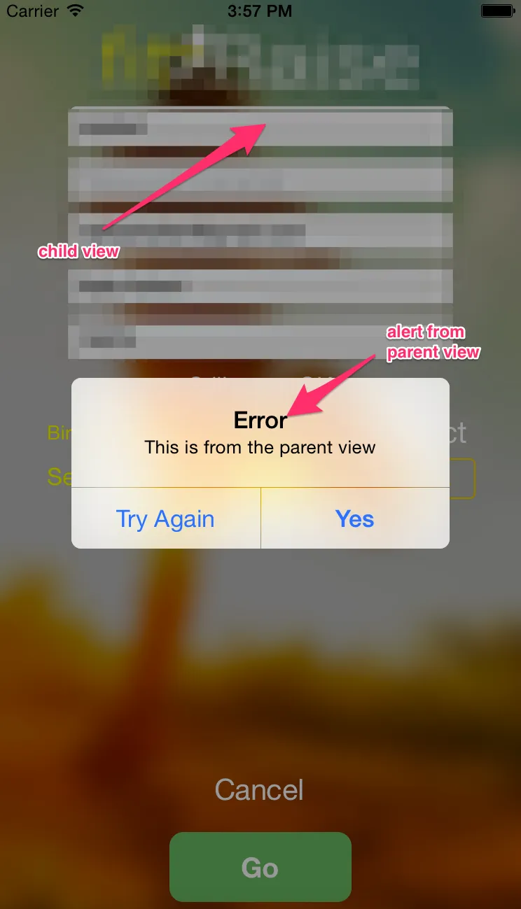 Alert from parent view in child view