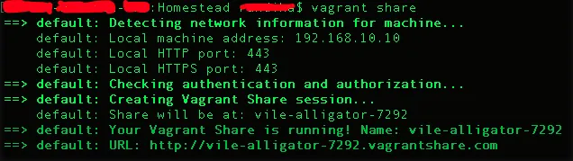 Vagrant Share URL