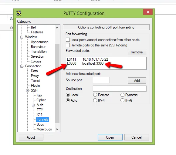 Putty Tunnel Config Screen