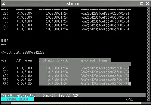 vim visual block-mode screenshot